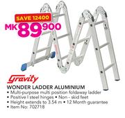 Gravity Wonder Ladder Aluminium