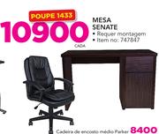 Mesh Senate