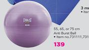 Everlast Anti Burst Ball 55cm, 65cm, 75cm-Each