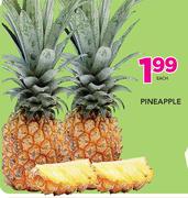 Pineapple-Each