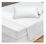 Design Studio Queen Fitted Sheet