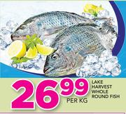 Lake Harvest Whole Round Fish-Per Kg