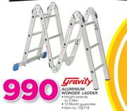 Gravity Aluminium Wonder Ladder