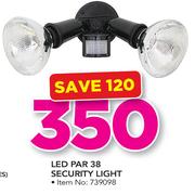 LED PAR 38 Security Light