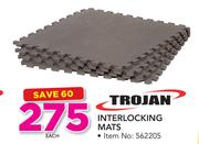 Trojan Interlocking Mats-Each