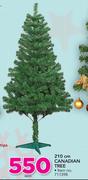 210cm canadian Tree-Each