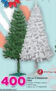 180cm Canadian Tree-Each