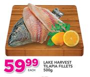 Lake Harvest Tilapia Fillets-500g Each