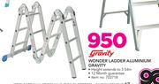 Gravity Wonder Ladder Aluminium