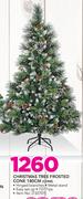 Santa's Trading Christmas Tree Frosted Cone 180Cm