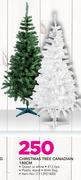 Santa's Trading Christmas Tree Canadian 180Cm