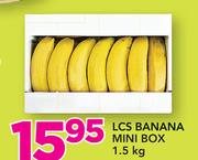 LCS Banana Mini Box-1.5kg