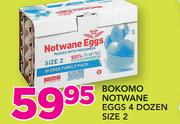 Bokomo Notwane Eggs 4 Dozen Size 2