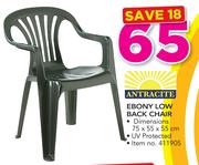 Antracite Ebony Low Back Chair