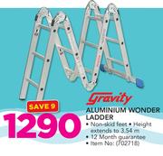 Gravity Aluminium Wonder Ladder