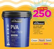 Homestead Fast Hide Cream Peach And Sand Paint-20Ltr Each