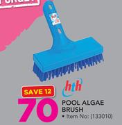 Hth Pool Algae Brush
