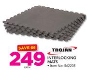 Trojan Interlocking Mats Each
