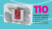 Indoor Static Battery Operated 10 Lily Lights Assorted Colours