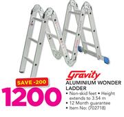 Gravity Aluminium Wonder Ladder