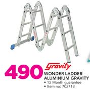 Gravity Wonder Ladder Aluminium Gravity