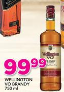 Wellington Vo Brandy-750ml