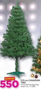 210cm Canadian Tree