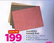 Assorted Parade Rug-Each