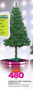 Chritmas Tree Canadian Green-210cm Each
