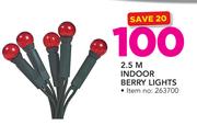 2.5m Indoor Berry Lights