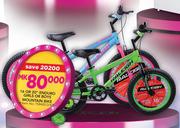 Raleigh 16" Or 20" Enduro Girls Or Boys Mountain Bike-Each