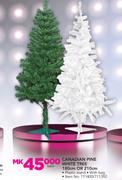 Canadian Pine White Tree 180cm Or 210cm-Each