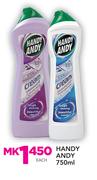Handy Andy-750ml Each