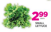 Small Lettuce-Each