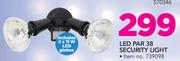 LED PAR 38 Security Light