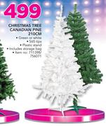 Christmas Tree Canadian Pine-210cm Each