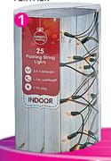 Indoor Flashing 50 Fairy Lights