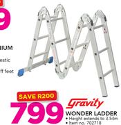 Gravity Wonder Ladder