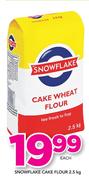 Snowflake Cake Flour-2.5Kg