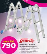 Gravity Wonder Ladder Aluminium 