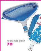 HTH Pool Algae Brush
