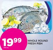 Whole Round Fresh Fish-Per Kg