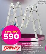 Gravity Wonder Ladder Aluminium