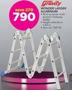 Gravity Wonder Ladder Aluminium