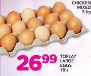 Toplay Large Eggs 18's