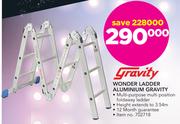 Gravity Wonder Ladder Aluminium Gravity