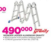 Gravity Wonder Ladder Aluminium 