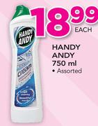 Handy Andy-750ml