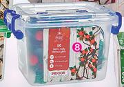 Santa's Trading 6.4m Indoor Holly Lights