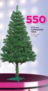 Santa's Trading 210cm Canadian Tree